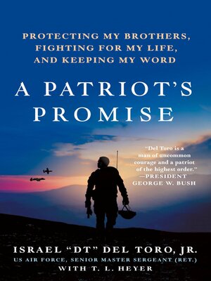 cover image of A Patriot's Promise
